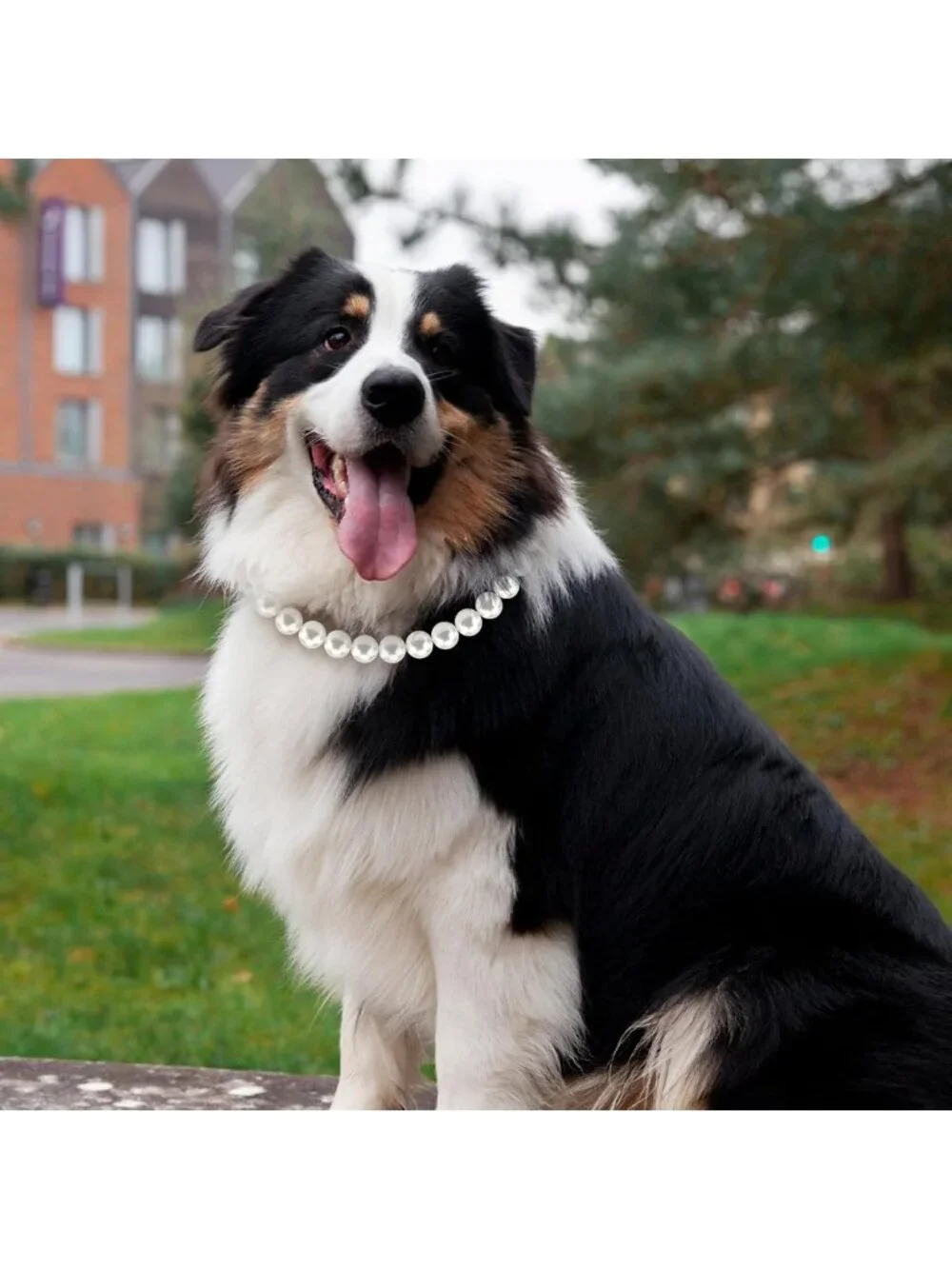 Elegant Chunky Pearl Dog Necklace - Adjustable 19mm Beaded Collar for Large Dogs